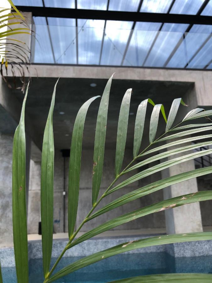 Hotel Suites La Negra Boutique Merida Ngoại thất bức ảnh