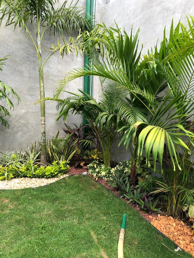 Hotel Suites La Negra Boutique Merida Ngoại thất bức ảnh